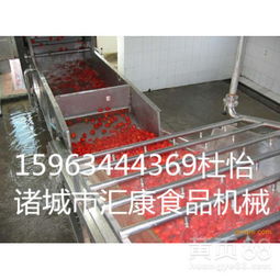 果蔬清洗與烘干設備全解析 從氣泡清洗到高效烘干